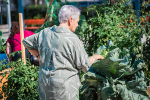 20250808_Fullviel_Jardin_300dpi-17