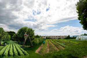 Lindequartier_DEF_WEB